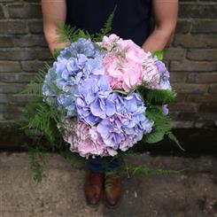 Heavenly Hydrangeas